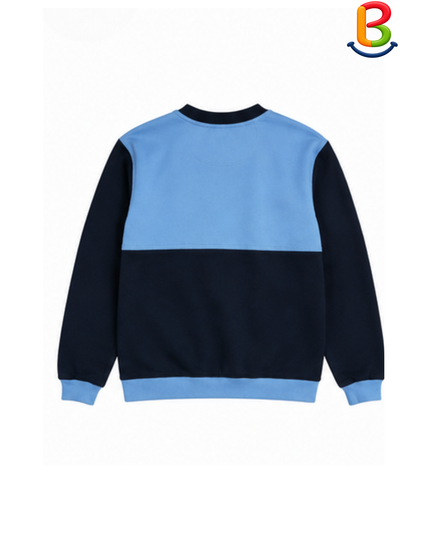 POLERA JERSEY  MANGA LARGA BORDADO LEÓN TS