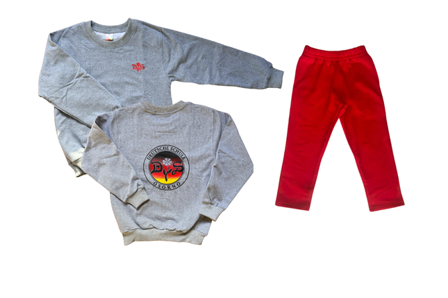 Polerón Deportivo Gris + Pantalón Buzo DSO