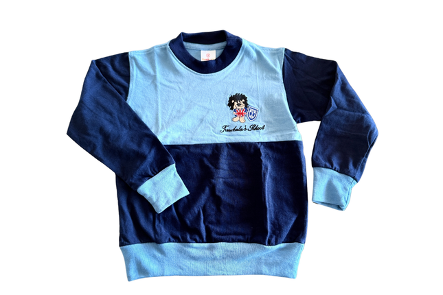 POLERA JERSEY  MANGA LARGA TS