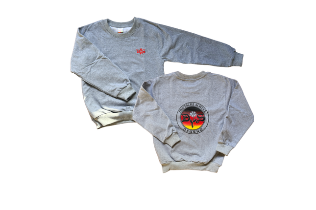 Polerón Deportivo Gris + Pantalón Buzo DSO